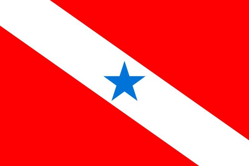 Arquivo:Bandeira do Pará.png